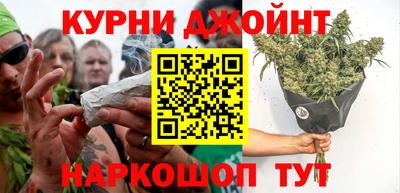 гидра Кимры