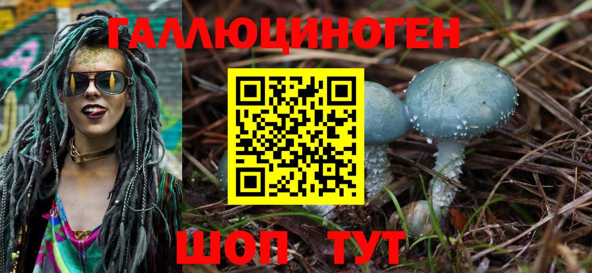 Псилоцибиновые грибы Cubensis Кропоткин