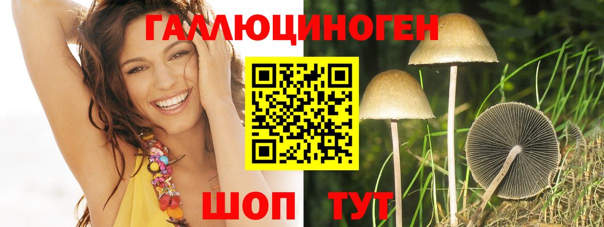 Кропоткин  Псилоцибиновые грибы GOLDEN TEACHER  Вход с VPN 